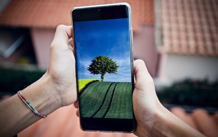 Image d'un téléphone portable avec pour fond d'écran un arbre dans un champ