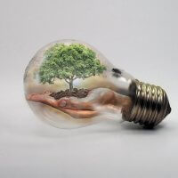 Image d'une ampoule contenant un arbre, pour représenter les notions d'actions pour préserver l'environnement.